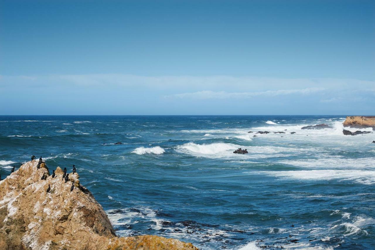 Ocean Breeze Villa Fort Bragg Exterior foto